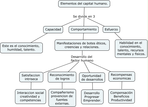 Elementos Del Capital Humano 6285